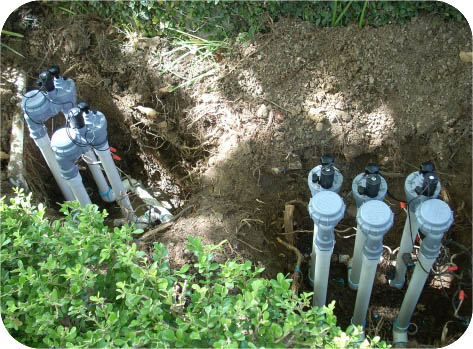 Local Sprinkler Repair